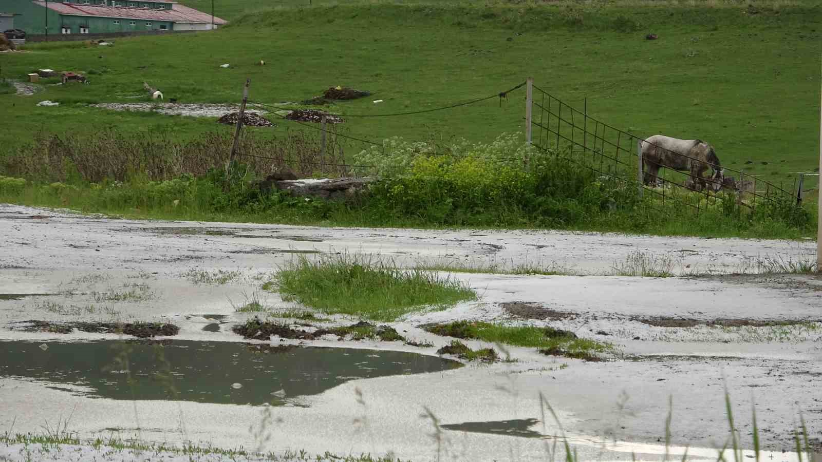 ARDAHAN’DA DOLU YAĞIŞI SONRASI HER YER BEYAZA BÜRÜNDÜ.