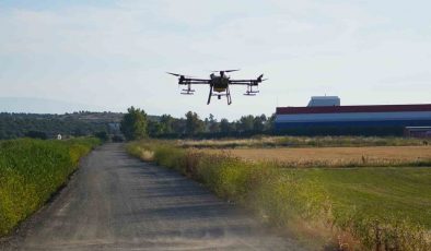 Dron ile sinek öldürüyorlar