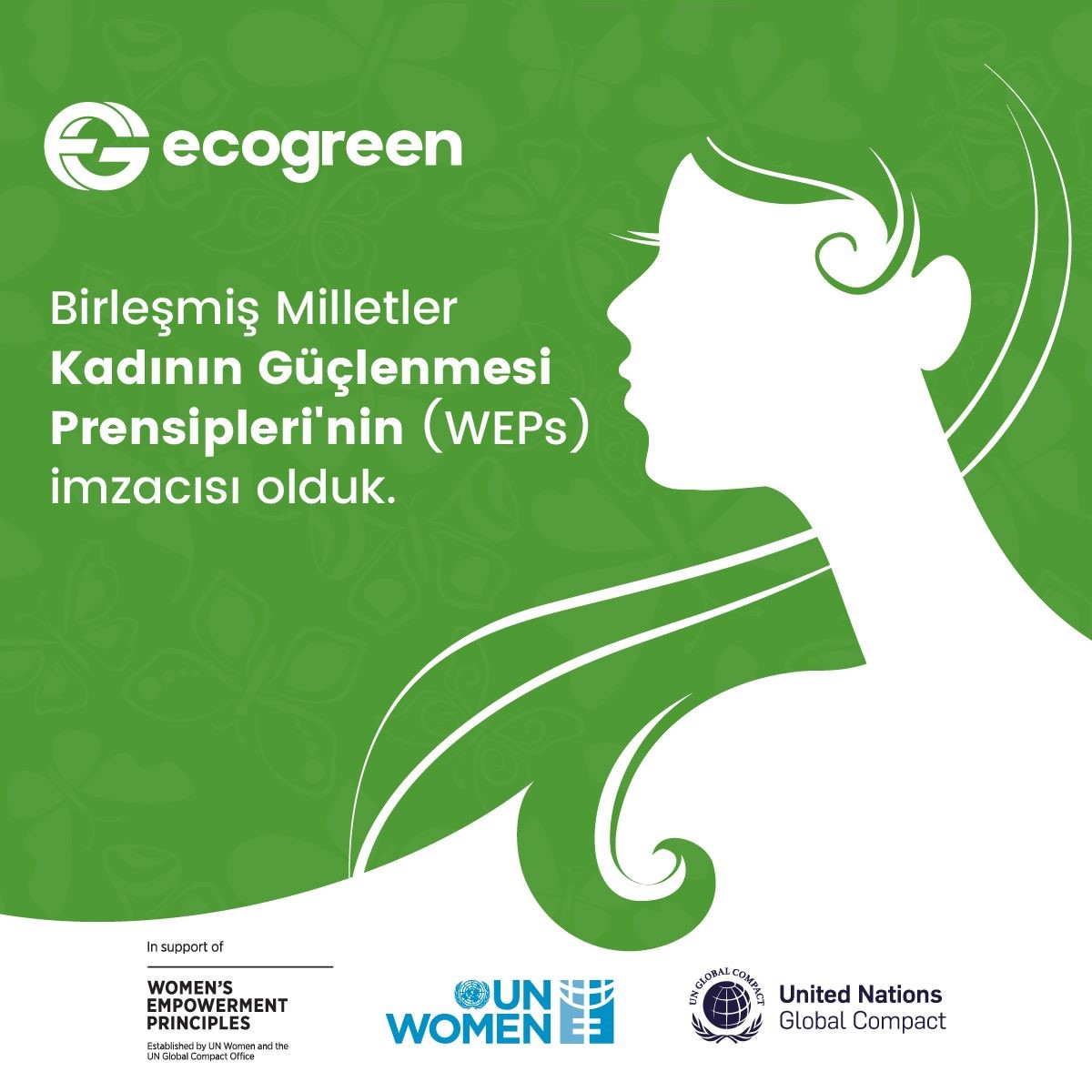 TÜRKİYE’NİN GÜNEŞ ENERJİSİ, BİYOGAZ VE BİYOKÜTLEYE DAYALI LİSANSLI ENERJİ SANTRALİ
