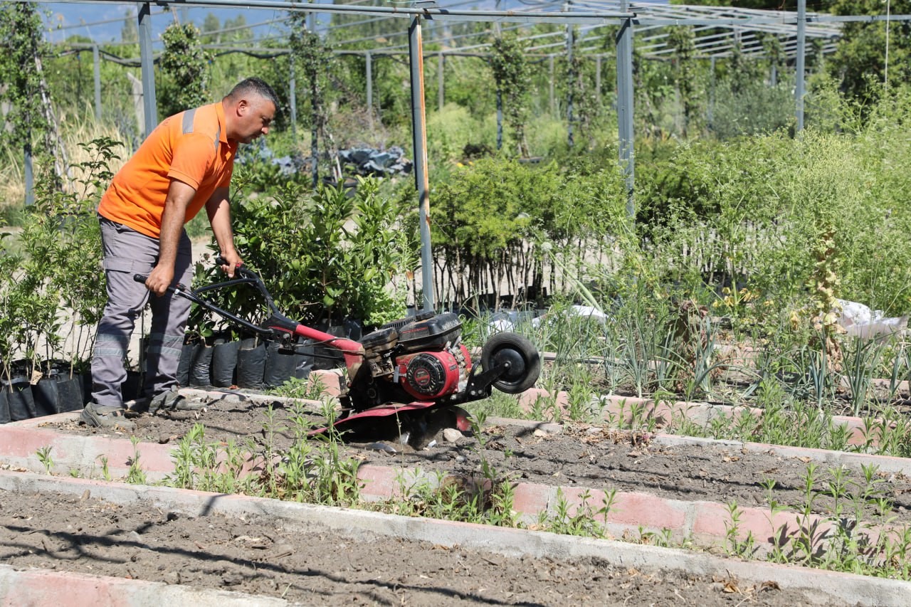 BALIKESİR EDREMİT BELEDİYESİ’NİN GENETİĞİ BOZULMAMIŞ ATA TOHUMLARININ ÜRETİLDİĞİ “CUMHURİYET ÇİFTLİKLERİ”