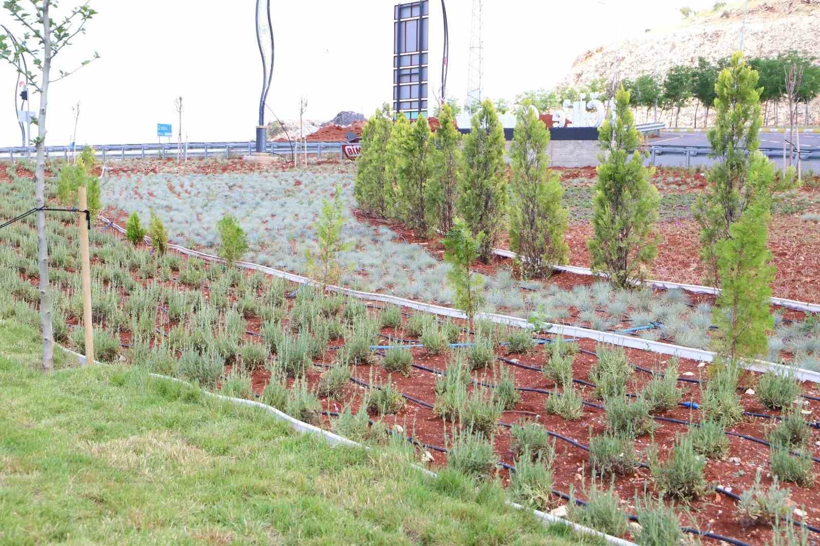 DİYARBAKIR BÜYÜKŞEHİR BELEDİYESİ, EĞİL İLÇE GİRİŞİNİN DAHA ESTETİK BİR GÖRÜNÜME
