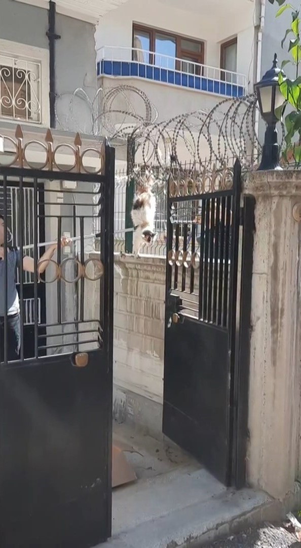 ELAZIĞ’DA TELLERE SIKIŞAN KEDİ İTFAİYE TARAFINDAN KURTARILDI
