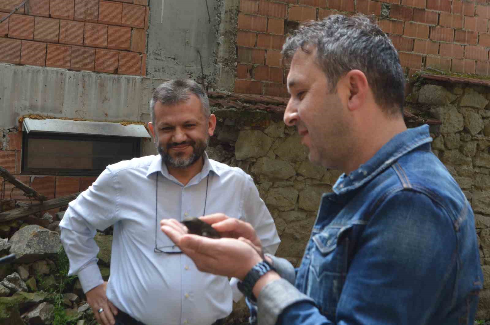 ENDER GÖRÜNEN EBABİL KUŞU BİR İŞYERİNE İKİNCİ KEZ GELDİ