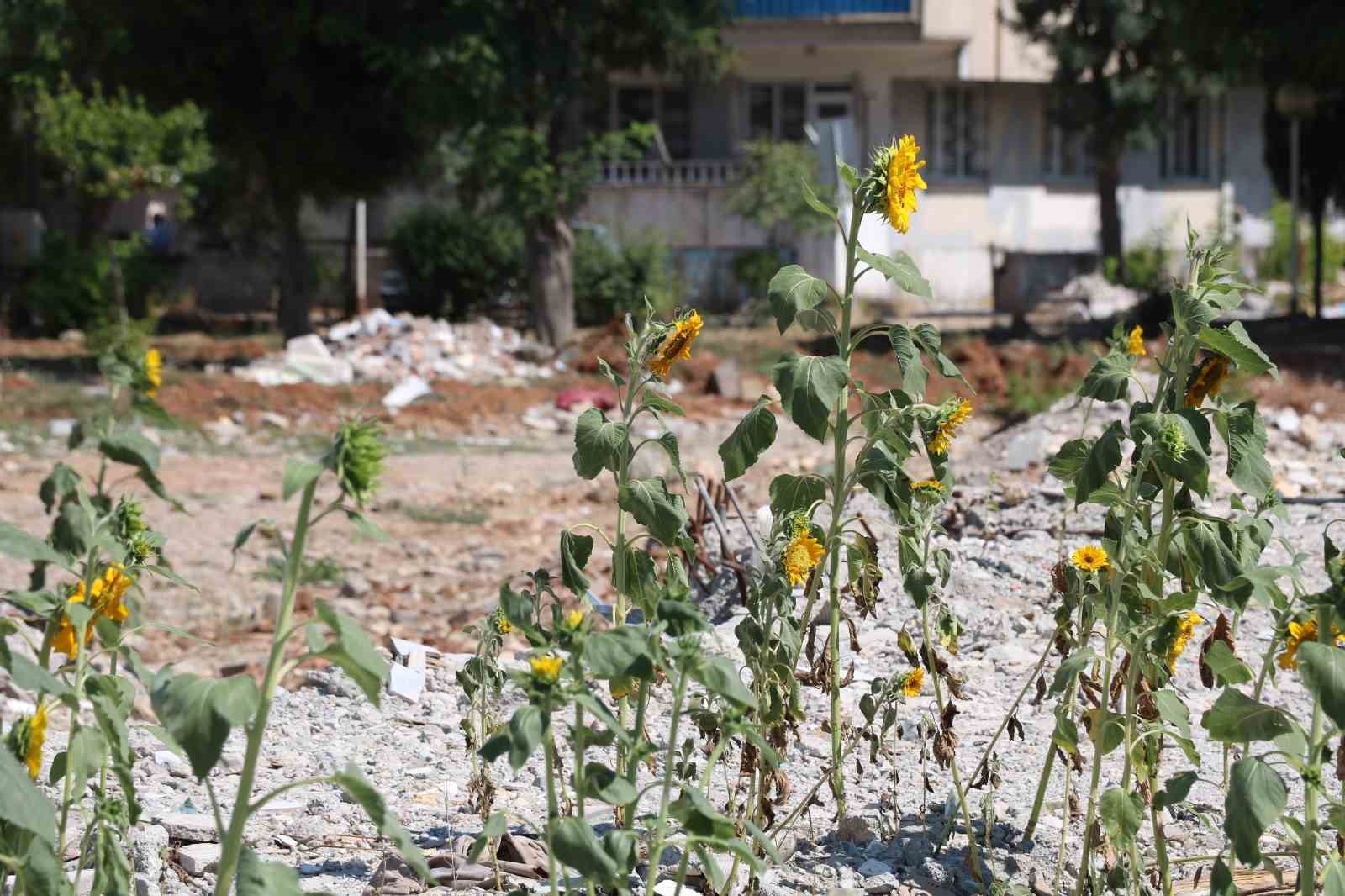 KAHRAMANMARAŞ’TA MEYDANA GELEN DEPREMLER SONRASI ENKAZ ALTINDA KALAN KURUYEMİŞÇİ DÜKKANINDAKİ