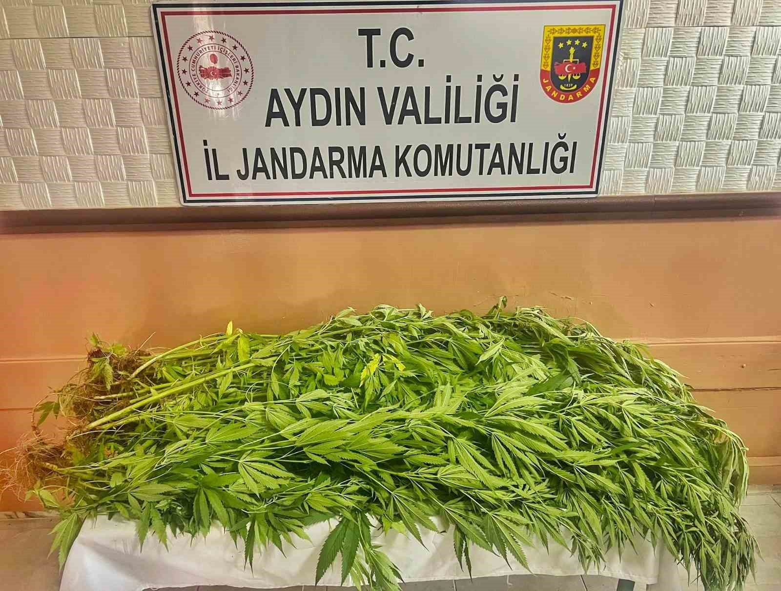 AYDIN İL JANDARMA KOMUTANLIĞI TARAFINDAN UYUŞTURUCU MADDE KULLANIMI VE SATIŞININ