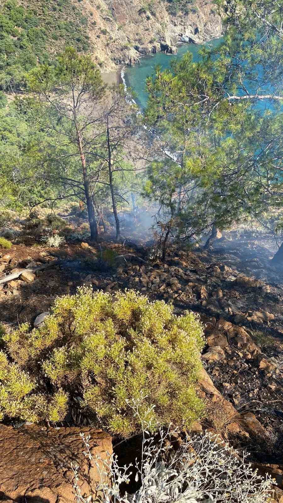 İNLİCE KOYUNDA ÇIKAN ORMAN YANGINI SÖNDÜRÜLDÜ