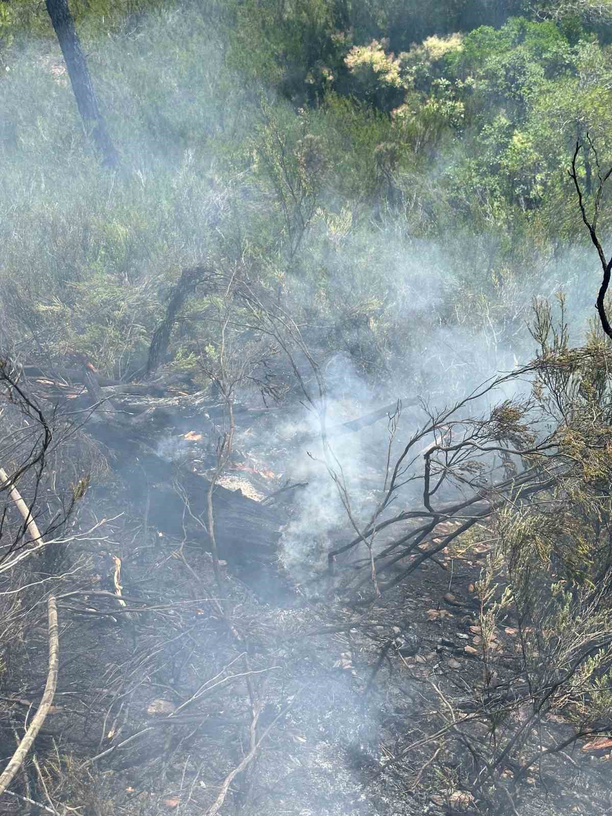 MUĞLA'NIN FETHİYE İLÇESİNDE YILDIRIM DÜŞMESİ SONUCU ÇIKAN ORMAN YANGINI SÖNDÜRÜLDÜ.