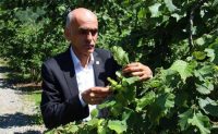 GİRESUN ZİRAAT ODASI (GZO) BAŞKANI NURİTTİN KARAN, TARIM VE ORMAN