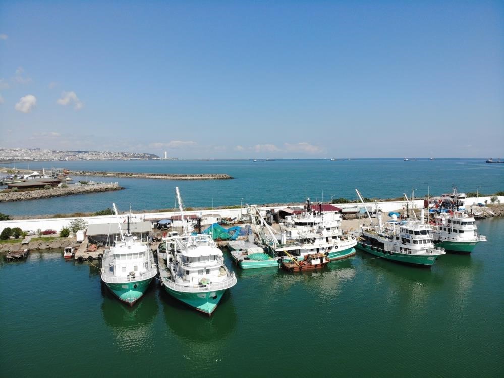 SAMSUN’DAN YAPILAN HAYVANSAL ÜRÜN İHRACATLARI İLE 43 MİLYON 851 BİN