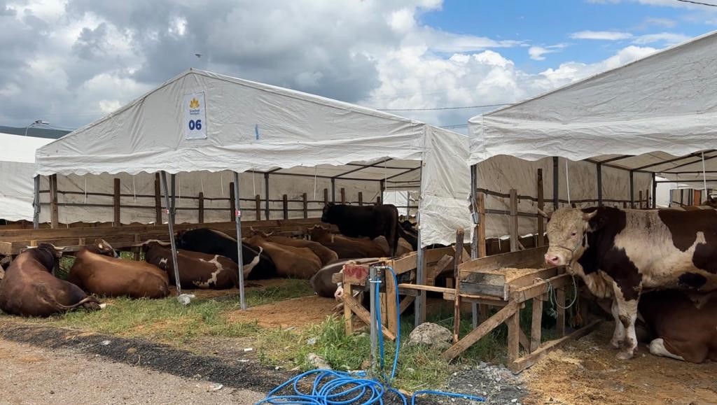 SULTANBEYLİ BELEDİYESİ, BU SENE DE KURBAN ALANININ ÇALIŞMALARINI TAMAMLADI VE