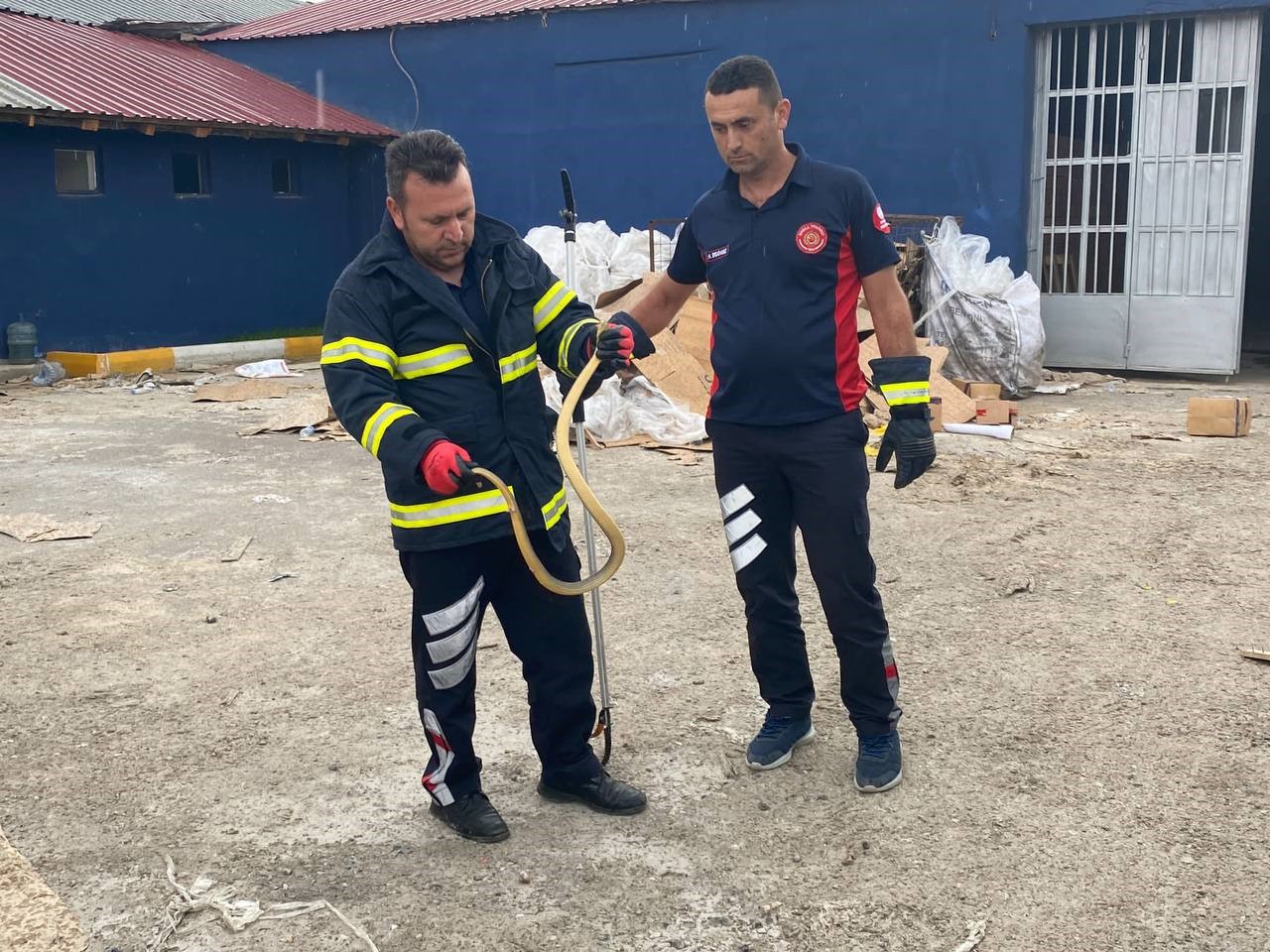TOKAT'TA İŞ YERİNE GİREN YILAN İTFAİYE EKİPLERİNCE İŞ YERİNDEN ÇIKARILIP