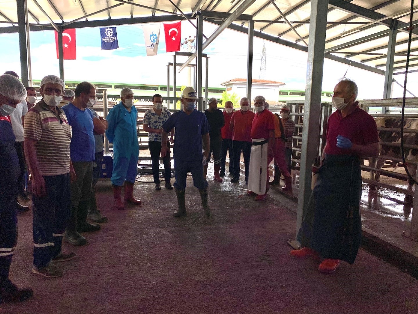 KOCAELİ'DE KURBAN BAYRAMI ÖNCESİNDE VATANDAŞLARIN İSLAMİ USULLERE GÖRE KURBAN KESME,