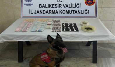 Jandarma narkotik köpeği Çömlek’ten kaçamadılar