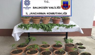 Jandarmadan Karesi’de uyuşturucu operasyonu