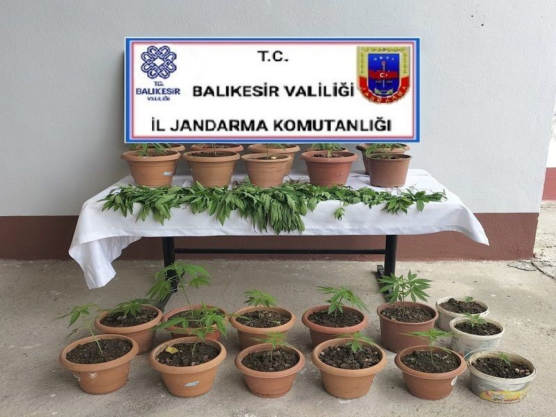 JANDARMADAN KARESİ'DE UYUŞTURUCU OPERASYONU