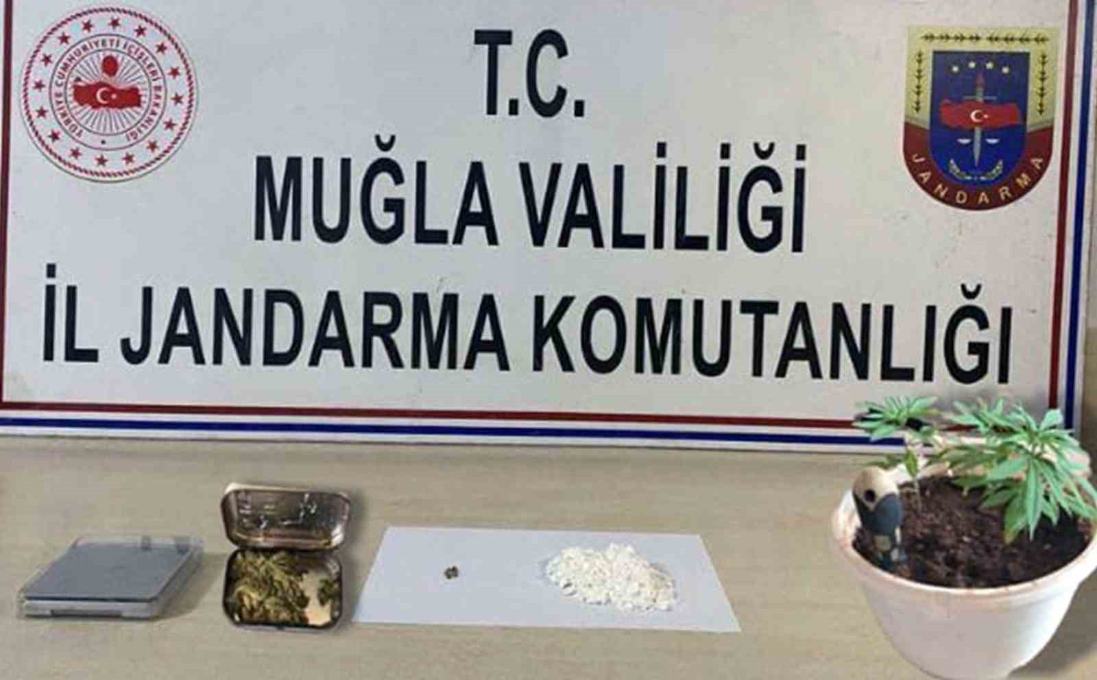 JANDARMADAN MUĞLA GENELİNDE UYUŞTURUCU OPERASYONU