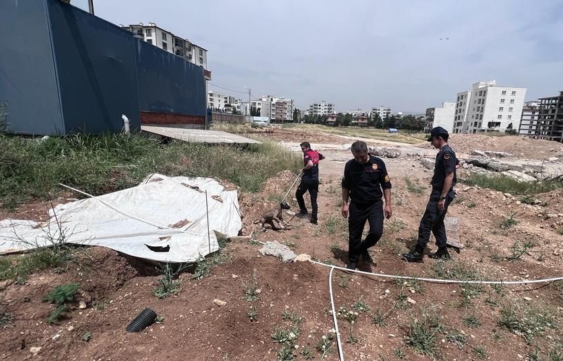 ADIYAMAN’DA, LAĞIM KUYUSUNA DÜŞEN YAVRU KÖPEK, JANDARMA EKİPLERİNİN DİKKATİ SAYESİNDE