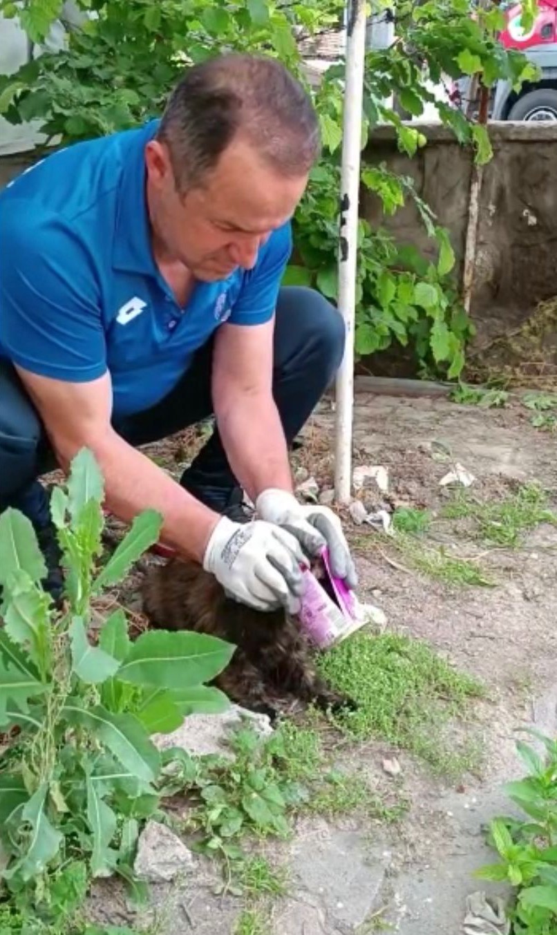 KAYSERİ BÜYÜKŞEHİR BELEDİYESİ İTFAİYE EKİPLERİ, KAFASI KONSERVE KUTUSUNA SIKIŞAN KEDİYİ