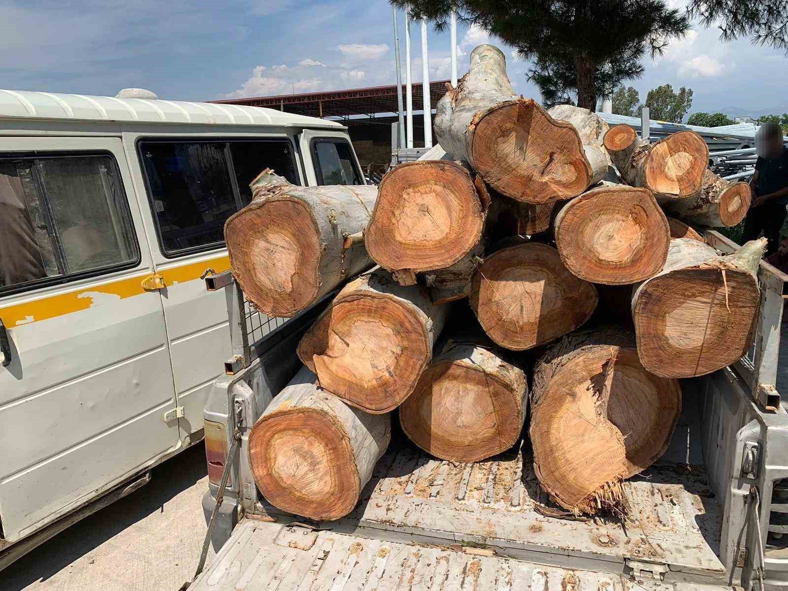 KAMU KURUMUNA AİT 10 TON ODUNU ÇALARKEN YAKALANDILAR