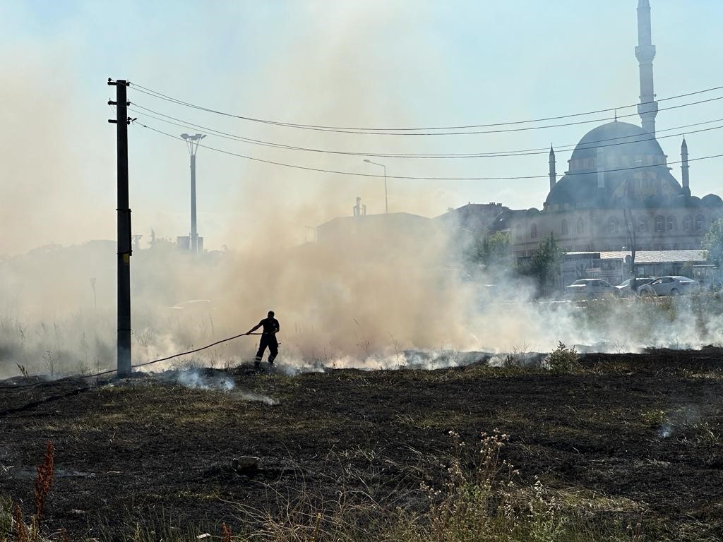 TEKİRDAĞ'IN KAPAKLI İLÇESİNDE BOŞ ARSADA ÇIKAN VE ENDİŞEYE SEBEP OLAN