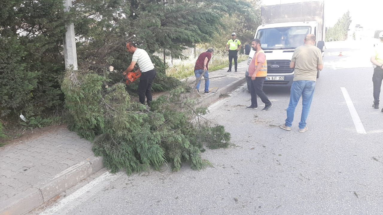 KARABÜK'TE ULAŞIMIN AKSAMASINA NEDEN OLAN İKİ DEVRİK AĞAÇ, BELEDİYE EKİPLERİNİN