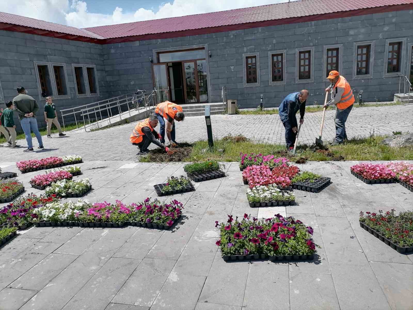 KARS’TA PARK VE BAHÇELER ÇİÇEK AÇIYOR(KARS-İHA)