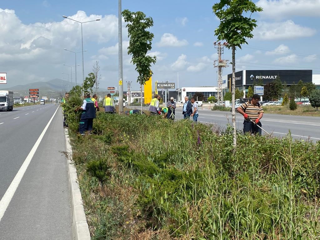 KAYSERİ BÜYÜKŞEHİR BELEDİYESİ, KENTİN DÖRT BİR YANINDA YABANCI OT TEMİZLİĞİ