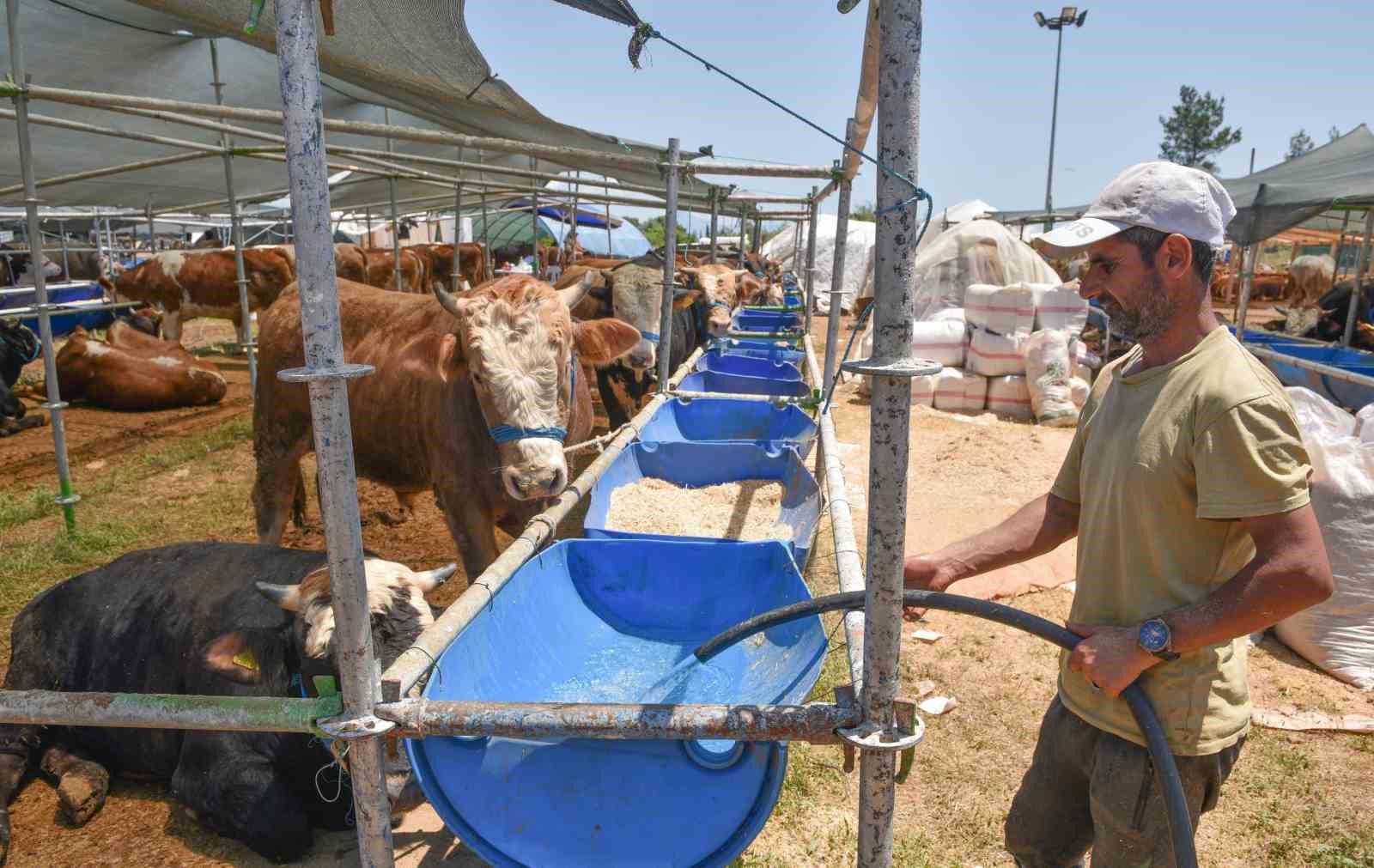 KEPEZ BELEDİYESİ, KURBAN BAYRAMI ÖNCESİ VATANDAŞLARIN VE BESİCİLERİN ALIŞVERİŞLERİNİ SORUNSUZ