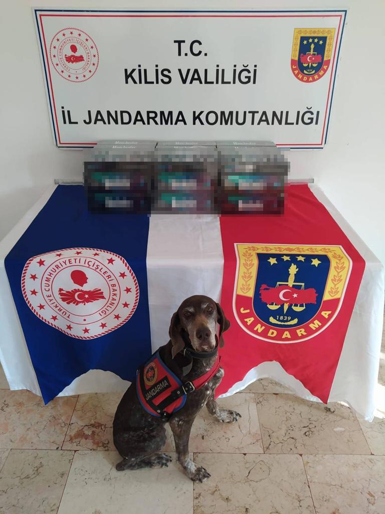 KİLİS’TE YOLCU MİNİBÜSÜNDE 570 PAKET GÜMRÜK KAÇAĞI SİGARA ELE GEÇİRİLDİ.