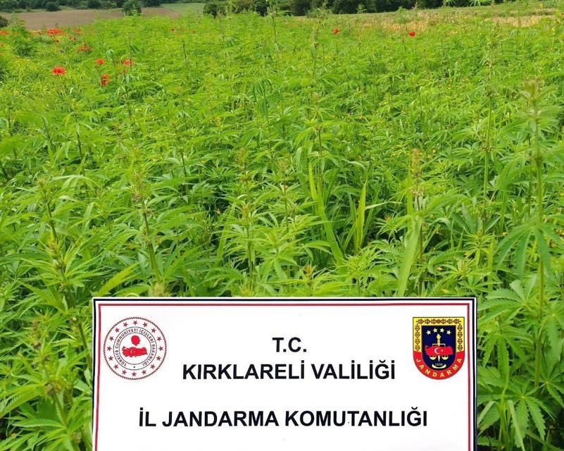 KIRKLARELİ’NDE JANDARMA EKİPLERİNCE DÜZENLENEN OPERASYONDA 1 MİLYON 137 BİN 500