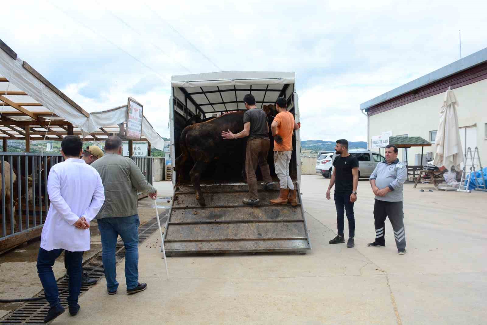 YAKLAŞAN KURBAN BAYRAMI ÖNCESİ KOCAELİ’DE KURBANLIK HAYVAN GİRİŞLERİ BAŞLADI.