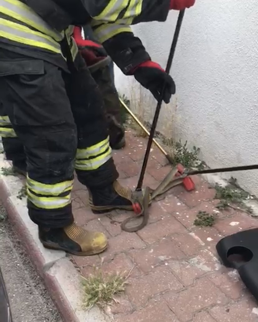 KONYA’NIN EREĞLİ İLÇESİNDEKİ BİR OTOMOBİLE GİREN YAKLAŞIK 1,5 METRE BOYUNDAKİ