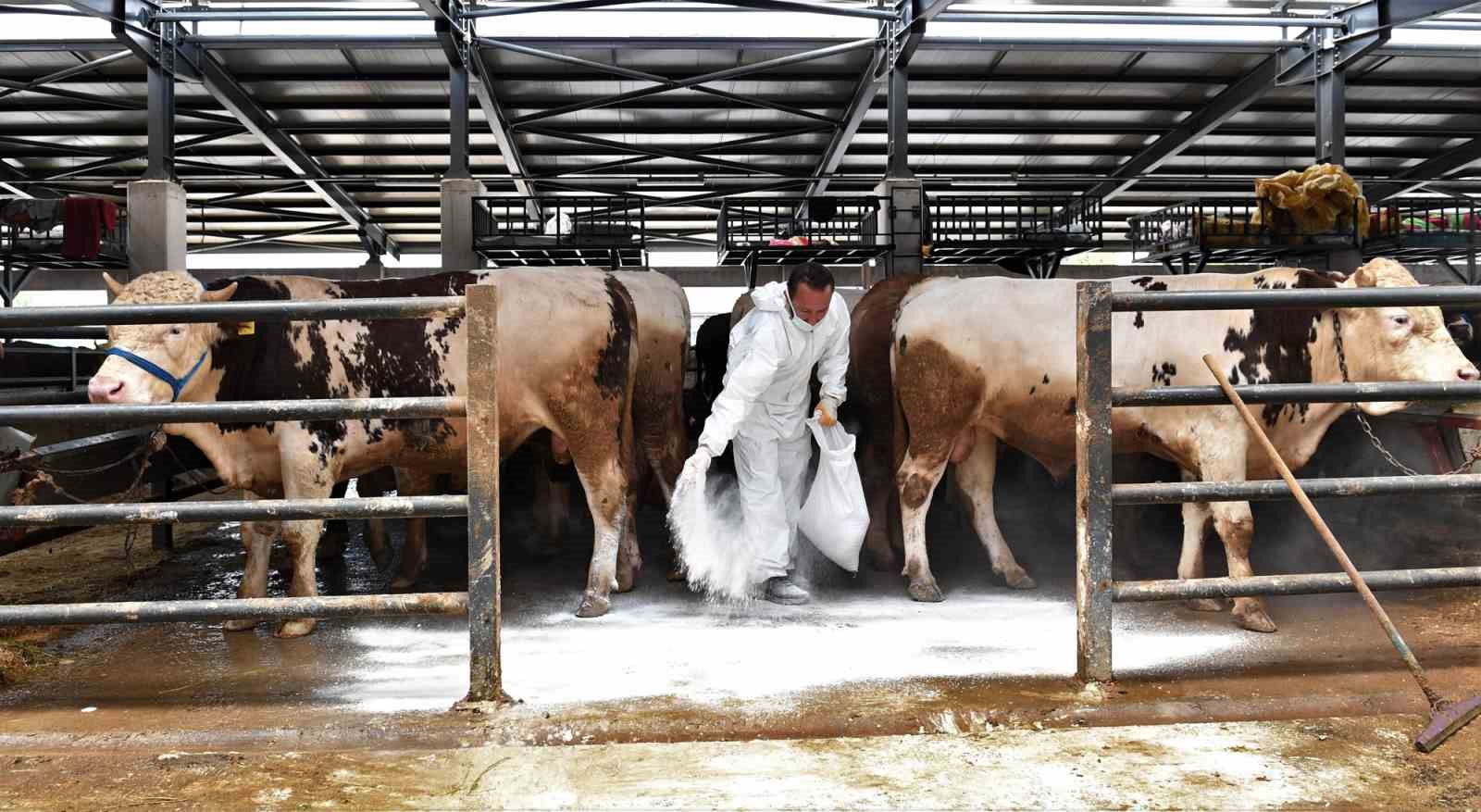 OSMANGAZİ BELEDİYESİ, İLÇEDEKİ KURBAN SATIŞ YERLERİNDE YÜRÜTTÜĞÜ KARASİNEK VE DİĞER