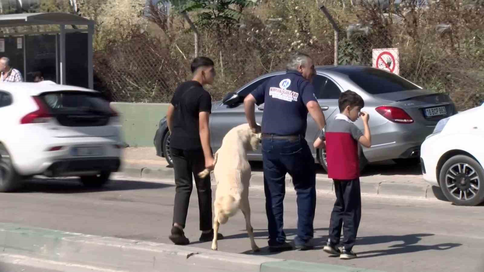 BURSA’DA KURBAN KESMEK İÇİN KESİMHANELERE AKIN EDEN VATANDAŞLAR KİLOMETRELERCE ARAÇ