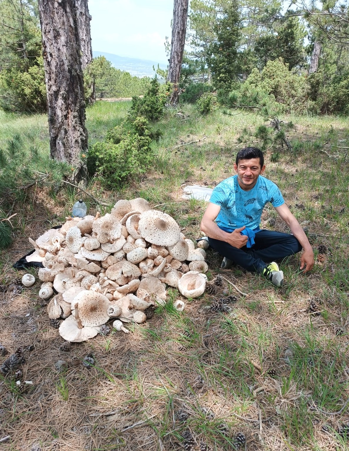YAĞIŞLAR MANTARA BEREKET, SOFRALARA LEZZET GETİRDİ