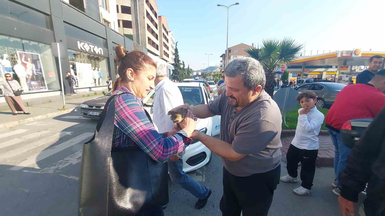 ZONGULDAK'IN EREĞLİ İLÇESİNDE BİR OTOMOBİLİN MOTOR KISMINA SIKIŞAN YAVRU KEDİ