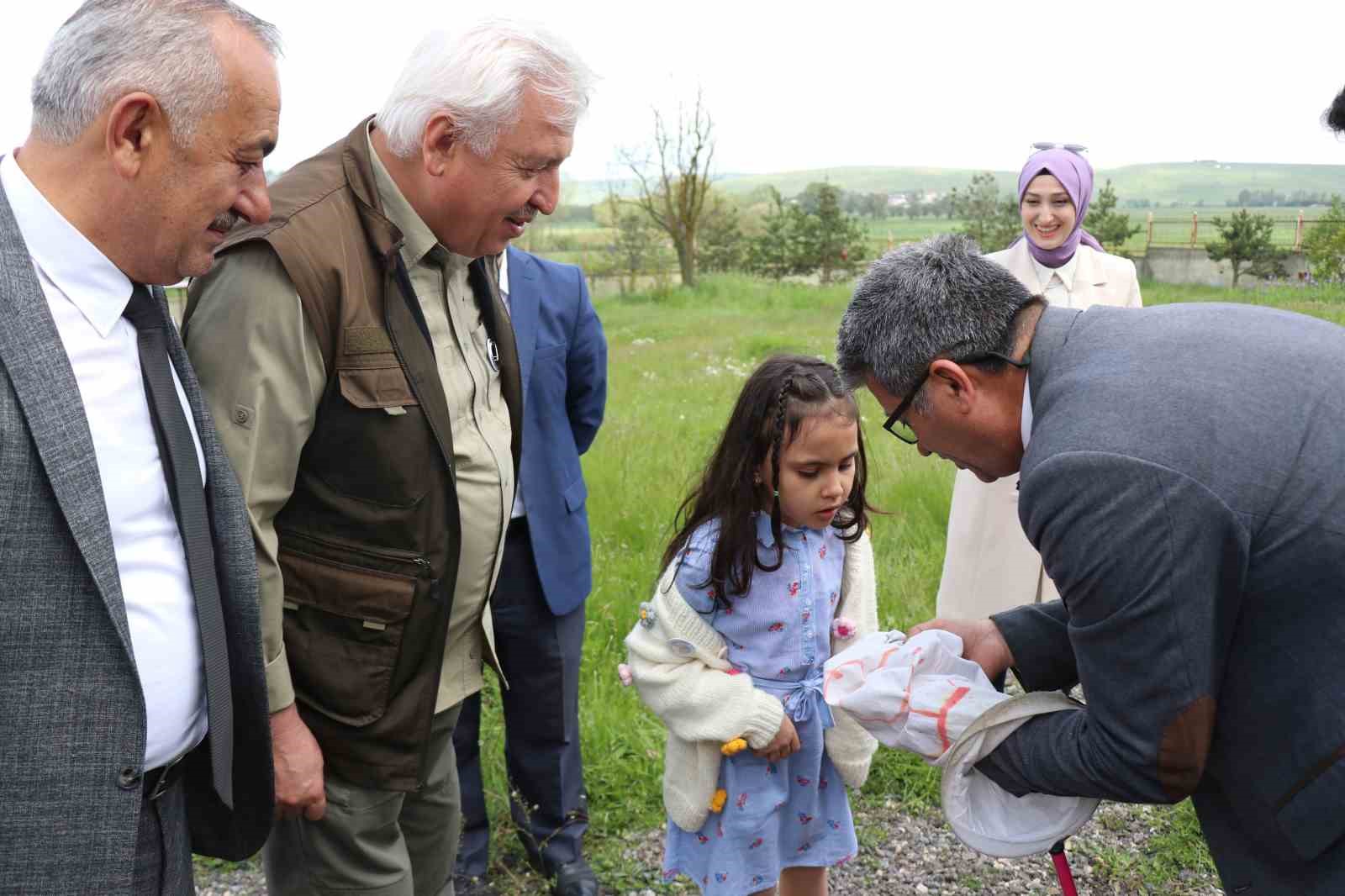 ANKARA ÜNİVERSİTESİ ZİRAAT FAKÜLTESİ BİTKİ KORUMA BÖLÜMÜ BÜNYESİNDE KURULAN BÖCEK