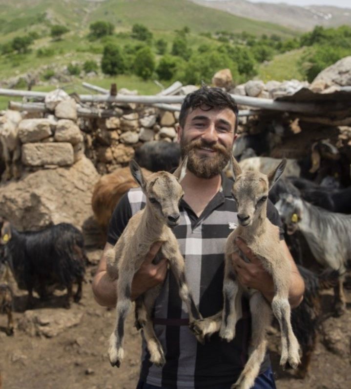 MUNZUR VADİSİ MİLLİ PARKI'NDA KAYALIKLARDAN DÜŞEREK ÖLEN ANNELERİNİ KAYBEDEN "MUNZUR"