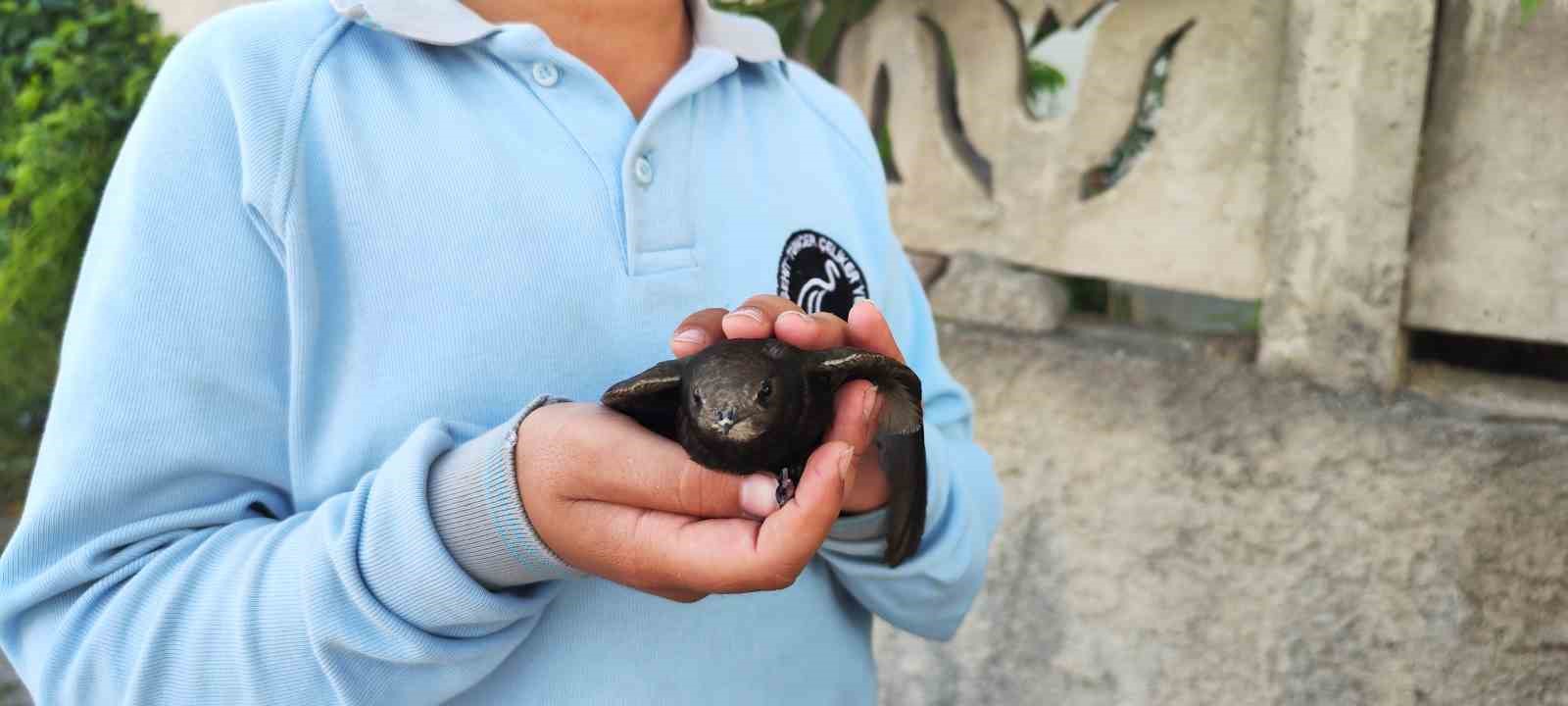 SİVAS’IN ŞARKIŞLA İLÇESİNDE YAŞAYAN İKİ ARKADAŞ ÖMRÜNÜN BÜYÜK BİR KISMINI