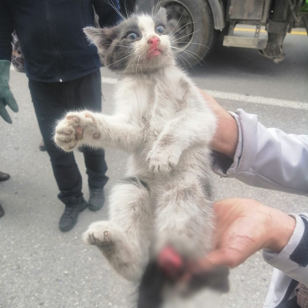 BOLU'DA PARK HALİNDE BULUNAN OTOMOBİLİN LASTİK VE BALATA KISMINA AYAĞINI