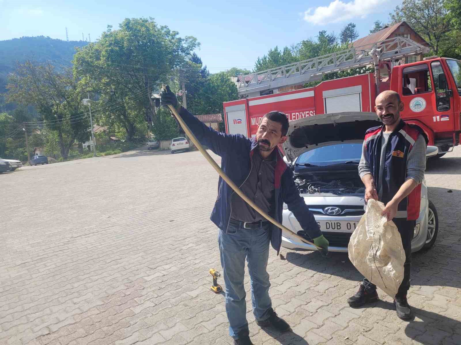 PARK HALİNDEKİ OTOMOBİLİN MOTOR KISMINA GİREN YAKLAŞIK 2 METRELİK YILAN,