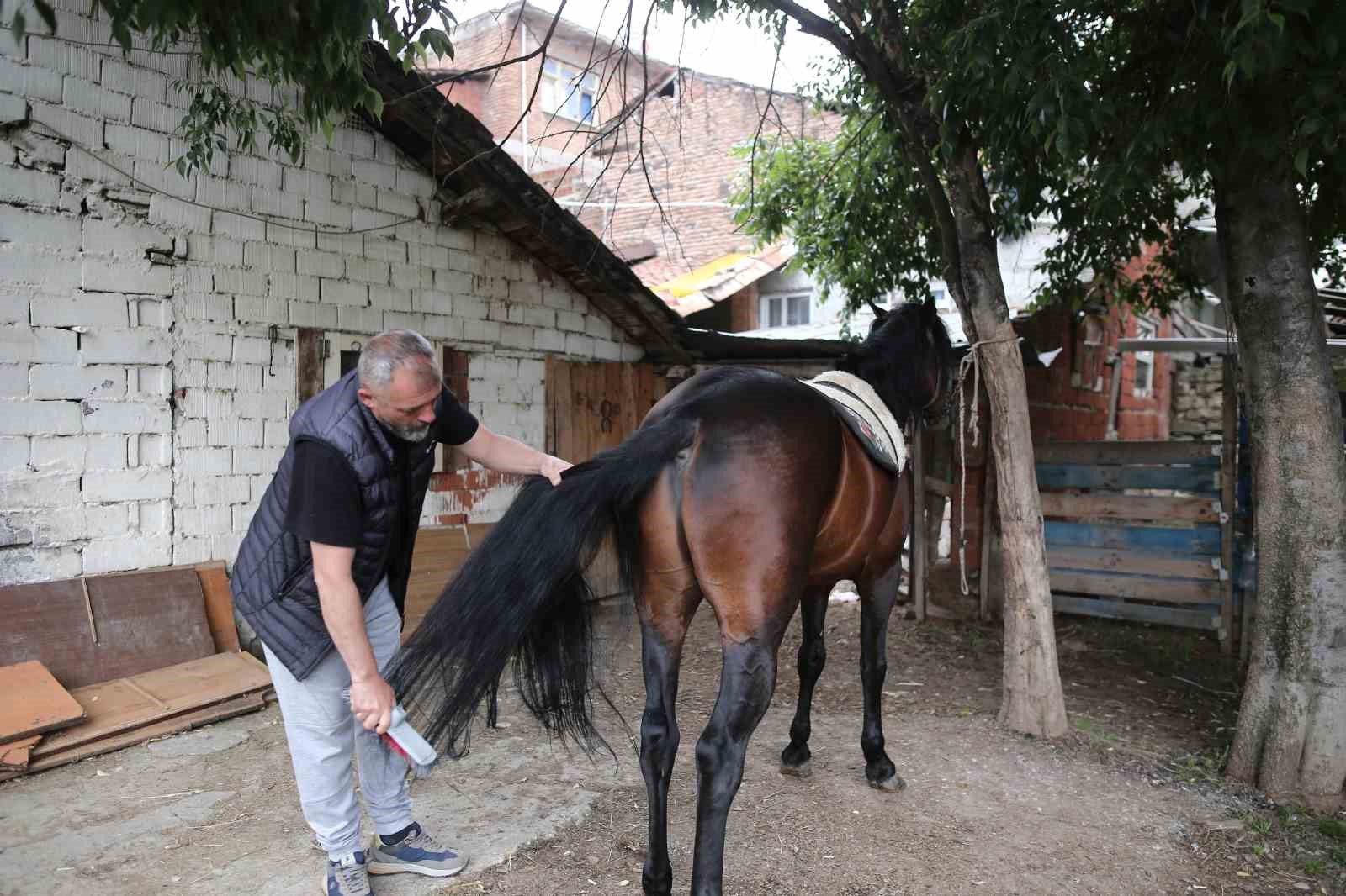 BURSA’DA ‘ULUDAĞ’ İSİMLİ ATA SAHİP OLMAK İSTEYEN VATANDAŞ, ATIN ANNESİNİ