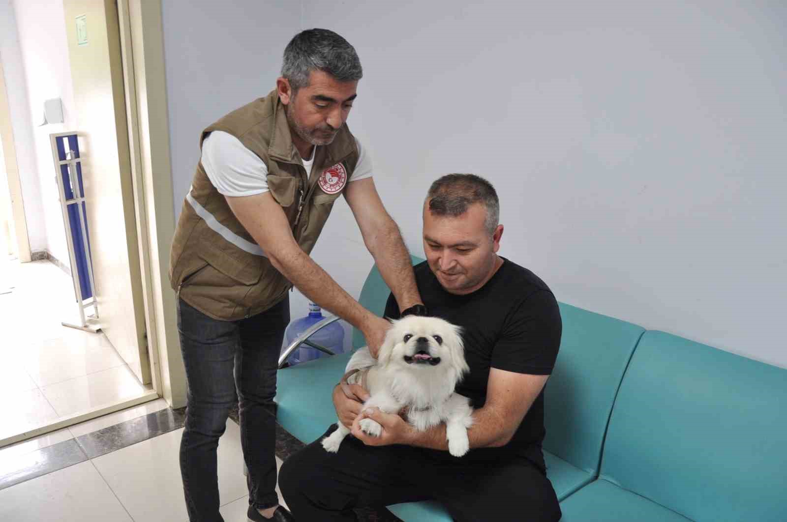 MANİSA’NIN SALİHLİ İLÇESİNDE 400’Ü KÖPEK VE 600’Ü KEDİ OLMAK ÜZERE