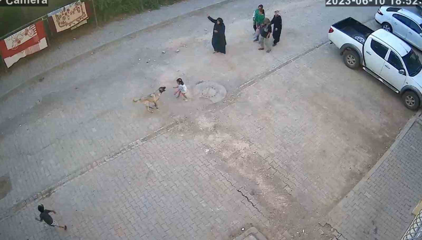 ŞANLIURFA’NIN CEYLANPINAR İLÇESİNDE AİLESİYLE YOLDA YÜRÜYEN 4 YAŞINDAKİ KIZ ÇOCUĞUNA