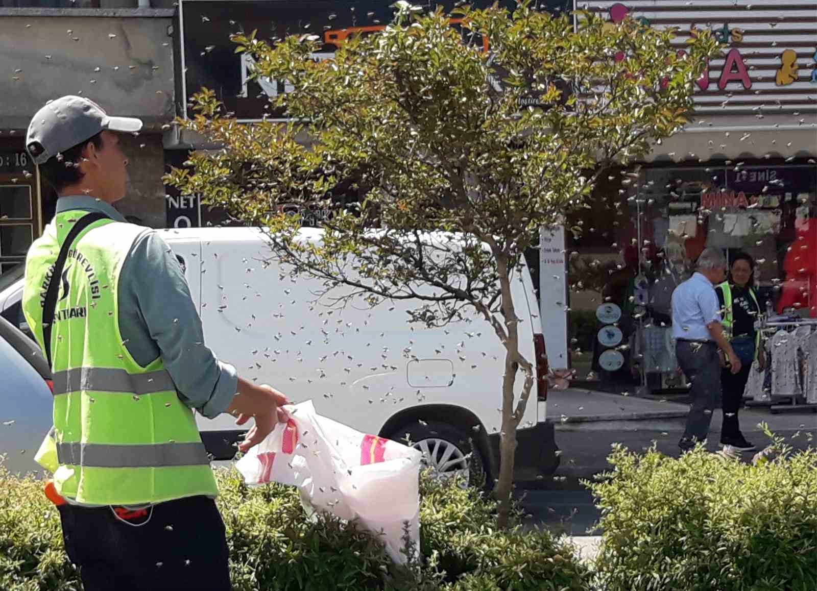 MUĞLA’NIN MENTEŞE İLÇESİNDE ÖĞLE SAATLERİNDE ORHANİYE MAHALLESİ İSMET ÇATAK CADDESİ