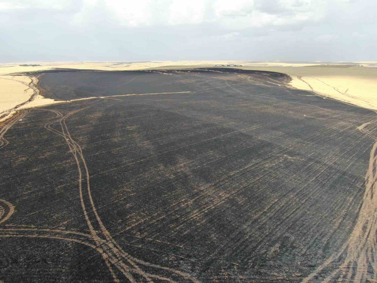 DİYARBAKIR’DA YOLDAN GEÇEN BİR ARAÇTAN ATILAN SİGARA İZMARİTİ, BUĞDAY TARLASINDA