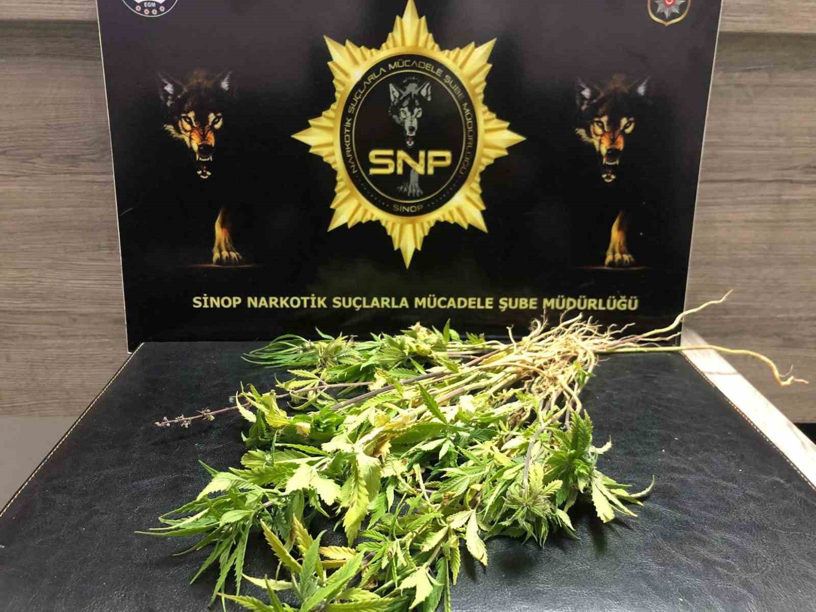 SİNOP İL EMNİYET MÜDÜRLÜĞÜ  NARKOTİK SUÇLARLA MÜCADELE ŞUBESİ EKİPLERİ