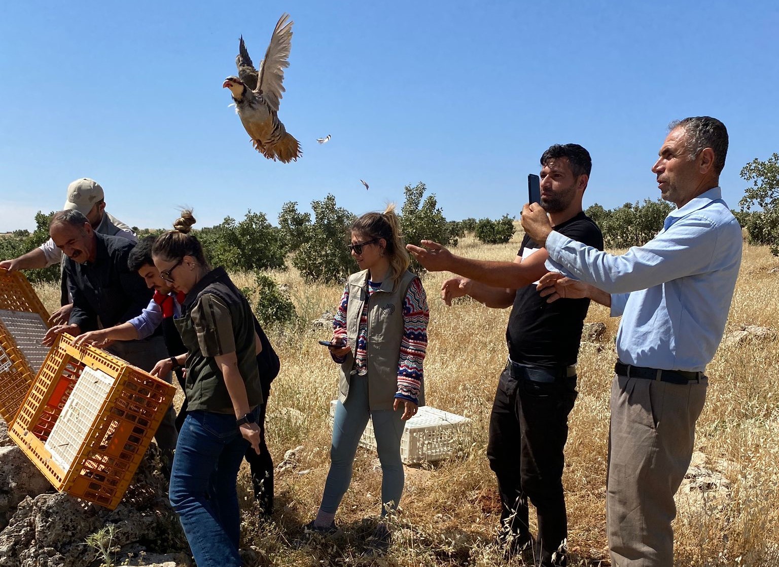 DOĞA KORUMA VE MİLLİ PARKLAR ŞIRNAK ŞUBE MÜDÜRLÜĞÜ TARAFINDAN İDİL