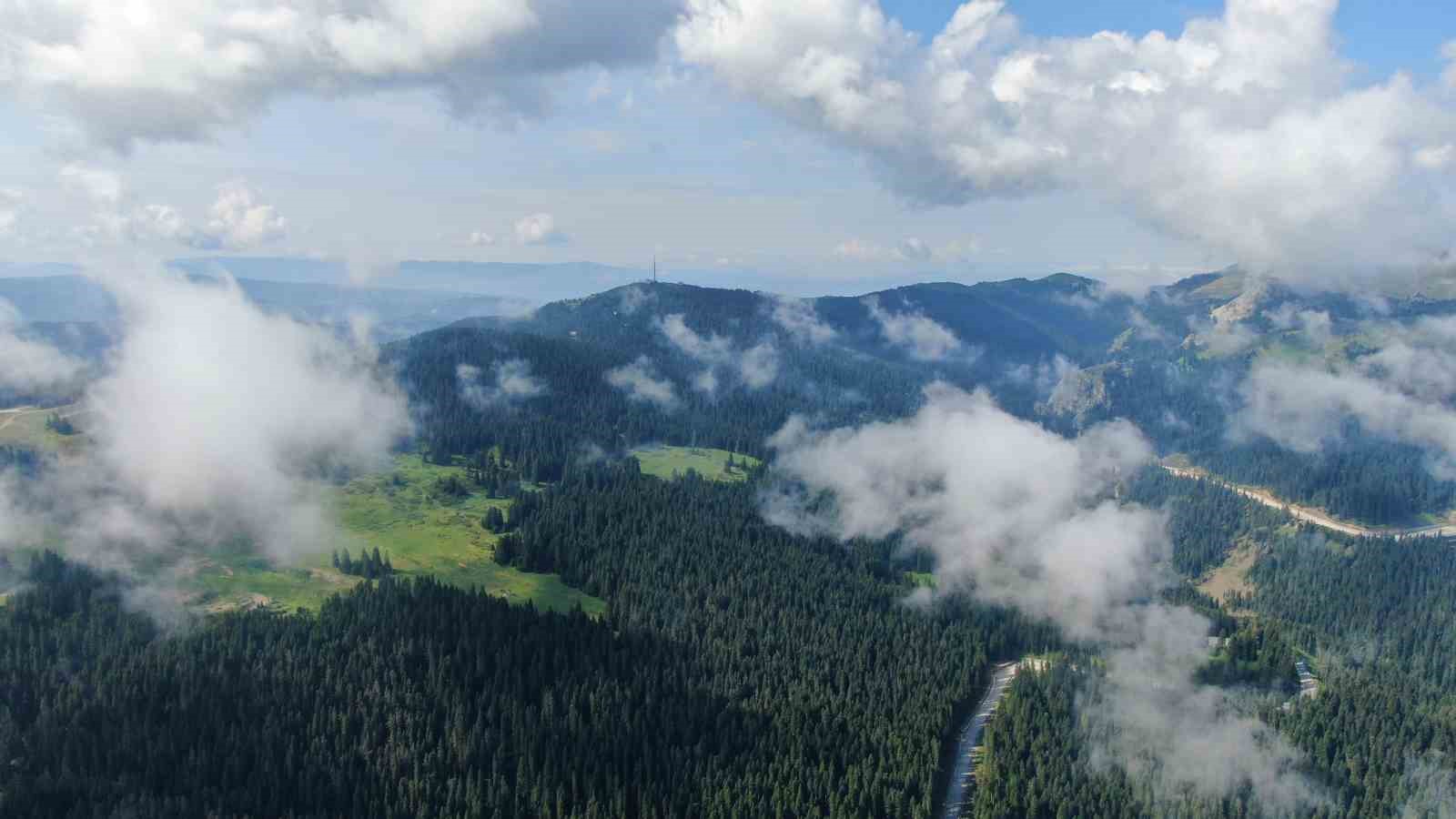 ÇANKIRI-KASTAMONU SINIRINDA BULUNAN ILGAZ DAĞI'NDA SİS VE YEŞİLİN BULUŞMASI KARTPOSTALLIK