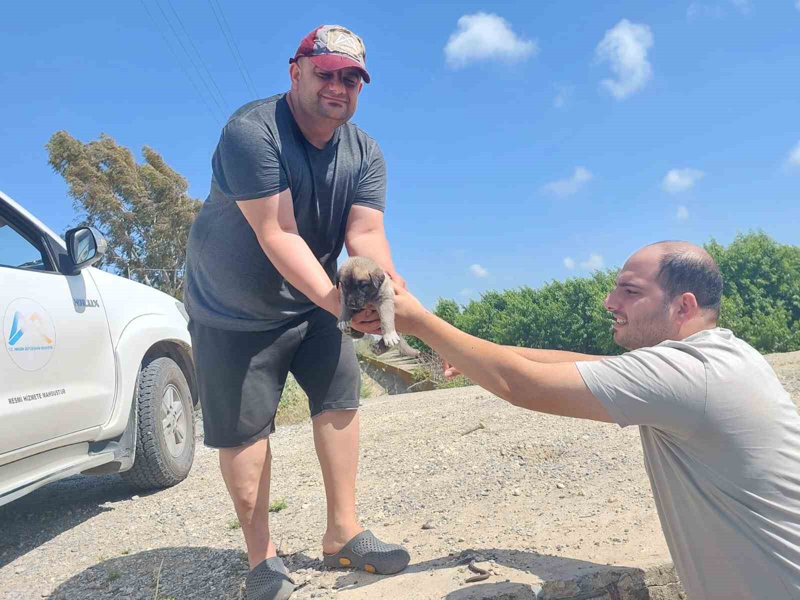 TARSUSTA İTFAİYE EKİPLERİ YAVRU 8 KÖPEĞİ KURTARDI